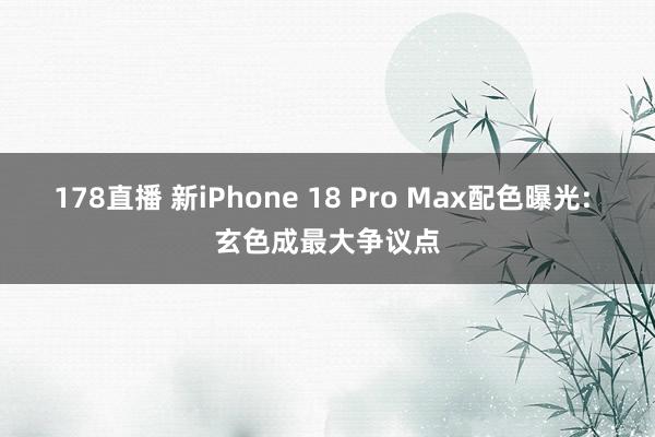 178直播 新iPhone 18 Pro Max配色曝光: 玄色成最大争议点