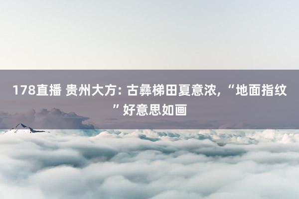 178直播 贵州大方: 古彝梯田夏意浓, “地面指纹”好意思如画