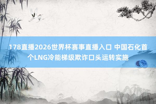 178直播2026世界杯赛事直播入口 中国石化首个LNG冷能梯级欺诈口头运转实施