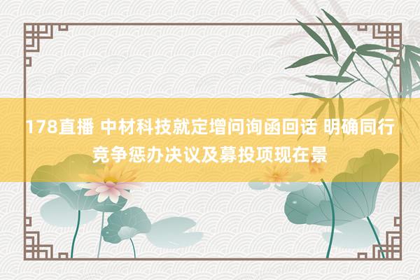 178直播 中材科技就定增问询函回话 明确同行竞争惩办决议及募投项现在景