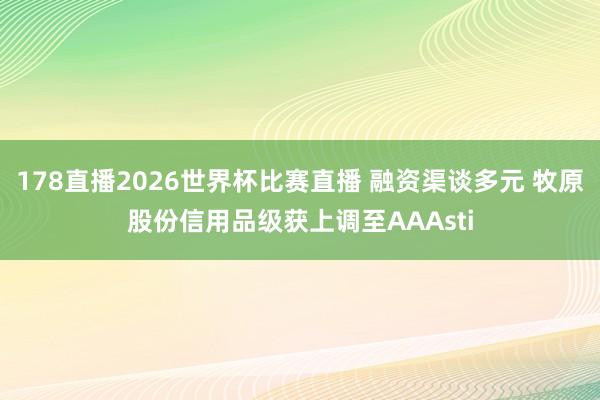 178直播2026世界杯比赛直播 融资渠谈多元 牧原股份信用品级获上调至AAAsti