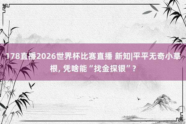 178直播2026世界杯比赛直播 新知|平平无奇小草根, 凭啥能“找金探银”?
