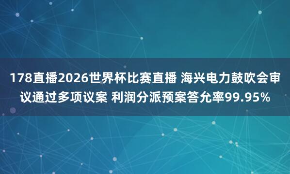 178直播2026世界杯比赛直播 海兴电力鼓吹会审议通过多项议案 利润分派预案答允率99.95%
