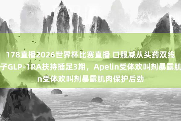 178直播2026世界杯比赛直播 口服减从头药双线冲破：小分子GLP-1RA扶持插足3期，Apelin受体欢叫剂暴露肌肉保护后劲