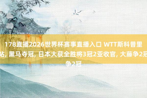 178直播2026世界杯赛事直播入口 WTT斯科普里站, 黑马夺冠, 日本大获全胜将3冠2亚收官, 大藤争2冠