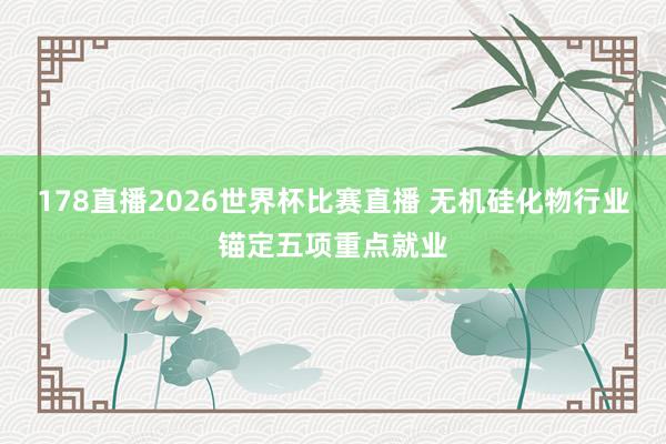 178直播2026世界杯比赛直播 无机硅化物行业锚定五项重点就业